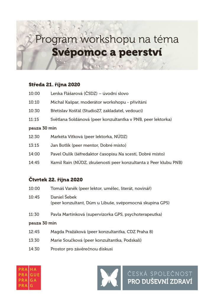 Program PeerTO peer